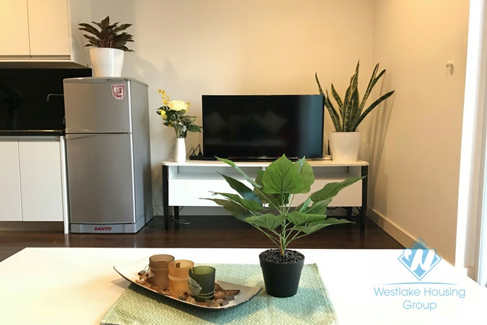 Beautiful studio for rent in Lancaster building, Hanoi
